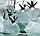Новогодняя гирлянда, Ананасы Серебряный, 4 Метра цвет белый холодный для всей семьи, фото 2