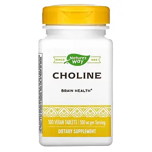 Витамин B4 Холин Nature's Way Choline 500 mg 100 veg caps