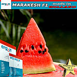 Кавун МАРАКЕШ F1 / MARAKESH F1, ТМ Ergon Seed (Голландія), 500 насінин (проф. пакет), фото 2