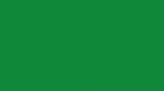 Самоклеящаяся пленка D-c-fix зеленая 45*100 см