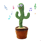 Кактус Повторюшка Танцюючий Dancing Cactus 32 см, фото 4
