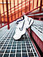 Мужские кроссовки Nike Air Monarch IV Silver/White (белые с серым) спортивная стильная обувь К9900, фото 7