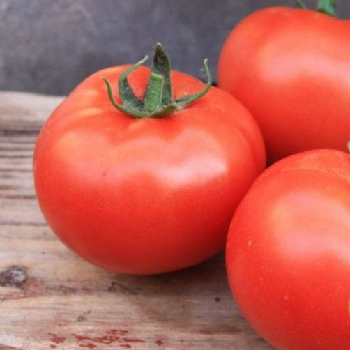 ХІЛАРІО F1 - насіння томату индетерминатного, Semenis