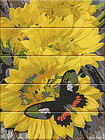 Картина по номерам на дереве "Бабочка на цветах" 30*40 см