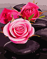 Картина за номерами "Троянди на каменях" 40*50см