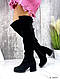 Женские черные ботфорты натуральная замша на шнуровке Еврозима, фото 5