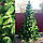 Искусственная сосна 2.1 м зеленая пышная на подставке,  Праздничная новогодняя рождественская елка, фото 10