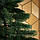 Сосна лита зелена люкс Pine Deluxe № 14 2.3 м висота, фото 3