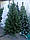 Сосна литая 2,3 м зеленая люкс Pine Deluxe № 14, Новогодние Искусственные елки премиум класса, фото 9