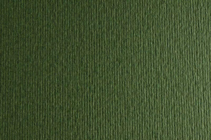 Папір для дизайну Elle Erre А3 (29,7*42см), №28 verdone, 220г/м2, темно-зелена, дві текстури, Fabriano