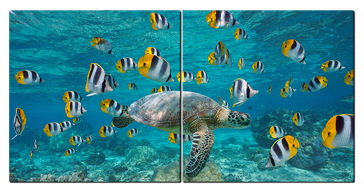 Картина на стекле Морская черепаха