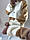 Жіноче плюшеве худі двокольорове з блискавкою на грудях і коміром стійкою (р. 42-46) 76KF1319, фото 2