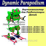 Вертикалізатор Динамічний Параподиум тренажер Meyra PARAPODIUM DYNAMIC PD200 Adult Stander, фото 3