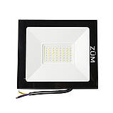 Прожектор светодиодный ZUM 50 6400K, фото 2