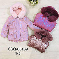 Куртка утепленная для девочек оптом, Seagull, 1-5 лет,  № CSQ-65109, фото 1