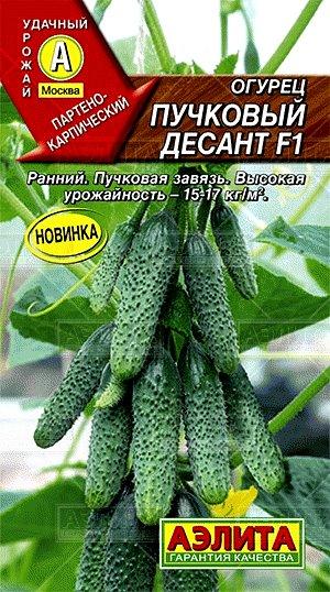 Семена Огурец Пучковый Десант F1 10 шт Аэлита