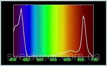 Рис.1 Спектр поглощаемого хлорофиллом света