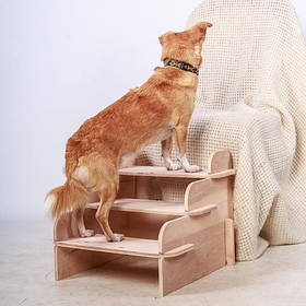 Лестницы для собак