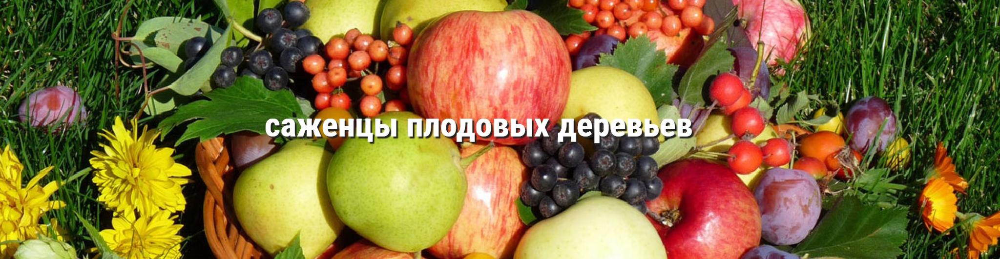 Магазин Саженцев Мелитополь Магазин Саженцев Мелитополь