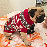Новогодняя вязаный свитер для животных, фото 6