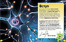 Карколомний мозок. Імпульсивні нейрони, мінливі синапси, хвостаті аксони. Автор Ліам Дрю, фото 3