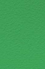 Папір для пастелі Tiziano A4 зелений № 12 prato 160 г / м2, середнє зерно, Fabriano, 164112