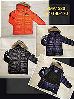 Куртка утепленна для хлопчиків оптом, Glo-story, 134/140-170 см, № BMA-1330, фото 1