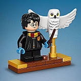 Конструктор Lego Harry Potter 75979 Букля, фото 6