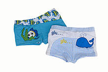 Детские плавки для мальчика Пляжная одежда для мальчиков Azue Италия BL 01 Голубой Хит!