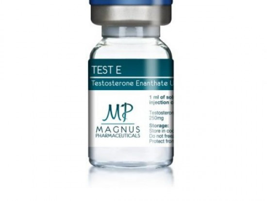 Тестостерон Энантат Magnus 10 ml 250 mg