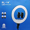 Кольцевая LED лампа RL-14 36см 220V 1 крепл.тел. + пульт + чехол, фото 2