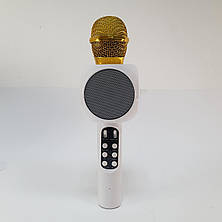 Микрофон-колонка bluetooth WS-1816 red Wster портативный, фото 3