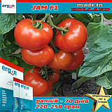 Семена, томат ранний Джем F1 / Jam F1, ТМ ERGON SEED (Нидерланды), упаковка 500 семян, фото 2