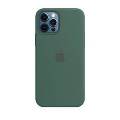 Силіконовий чохол iLoungeMax Silicone Case Pine Green для iPhone 12 Pro Max OEM