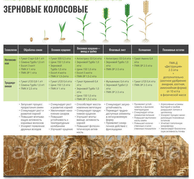 технология листовая подкормка для зерновых культур