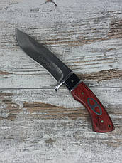 Охотничий нож COLUNBIA SB69- 22СМ / 88. Нож для охоты, рыбалки и туризма. Нож для выживания в чехле. All, фото 2