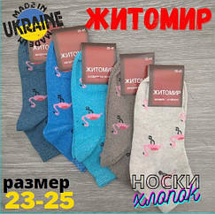 Шкарпетки жіночі демісезонні Житомир LYCRA 35-41р., фламінго, асорті, 30031068