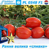 Семена, томат ранний PL 0548 F1 BAKKER BROTHERS (Нидерланды), упаковка 500 семян, фото 2
