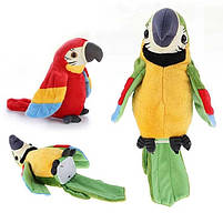 Інтерактивна іграшка папуга повторюшка м'яка іграшка папуга повторюха кращя пропозиція, фото 3