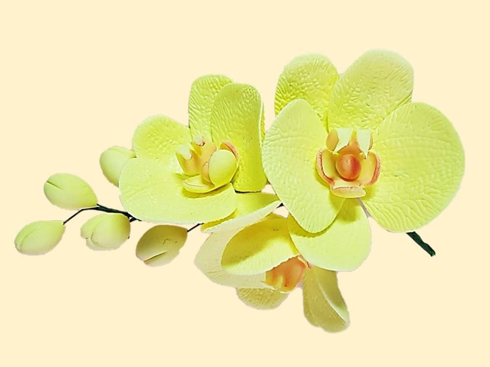 

Сахарное украшение из мастики на торт веточка орхидеи желтая, Желтый