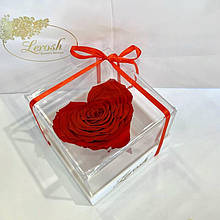 Стабилизированная роза в форме сердца в коробке 1 штука