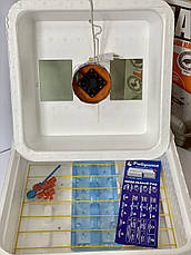 Інкубатор Рябушка Smart 70 яєць Турбо цифрової з механічним переворотом, фото 3