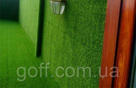 Декоративна трава на стіні