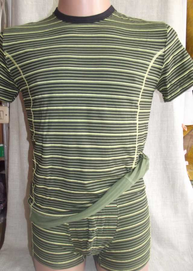

Комплект мужской стрейч (футболка + боксерки) С+3 зеленый, L, комплект