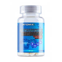 Glucosamine Chondroitin MSM Atomixx, 60 капсул