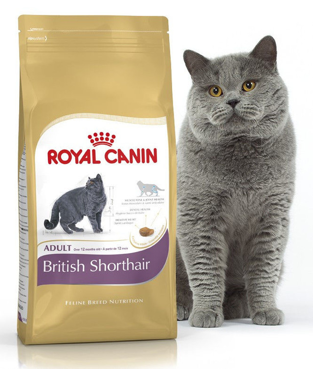 Корм для кошек породы Британская короткошерстная Royal Canin British Shorthair