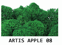 

Стабилизированный мох. Artis Apple 08