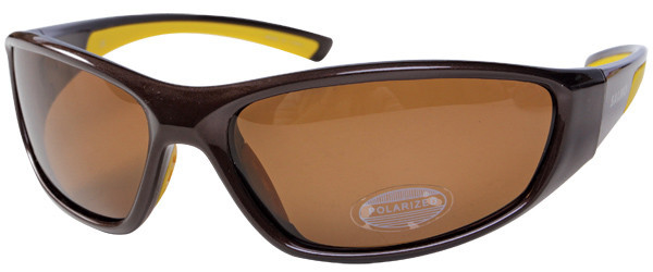Поляризационные очки Salmo (S-2513)