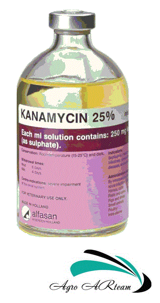 Канамицин 25%, раствор для инъекций 100 мл , Альфасан (Нидерланды .