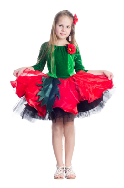 Мак квітковий карнавальний костюм для дівчинки / BL - ДО15